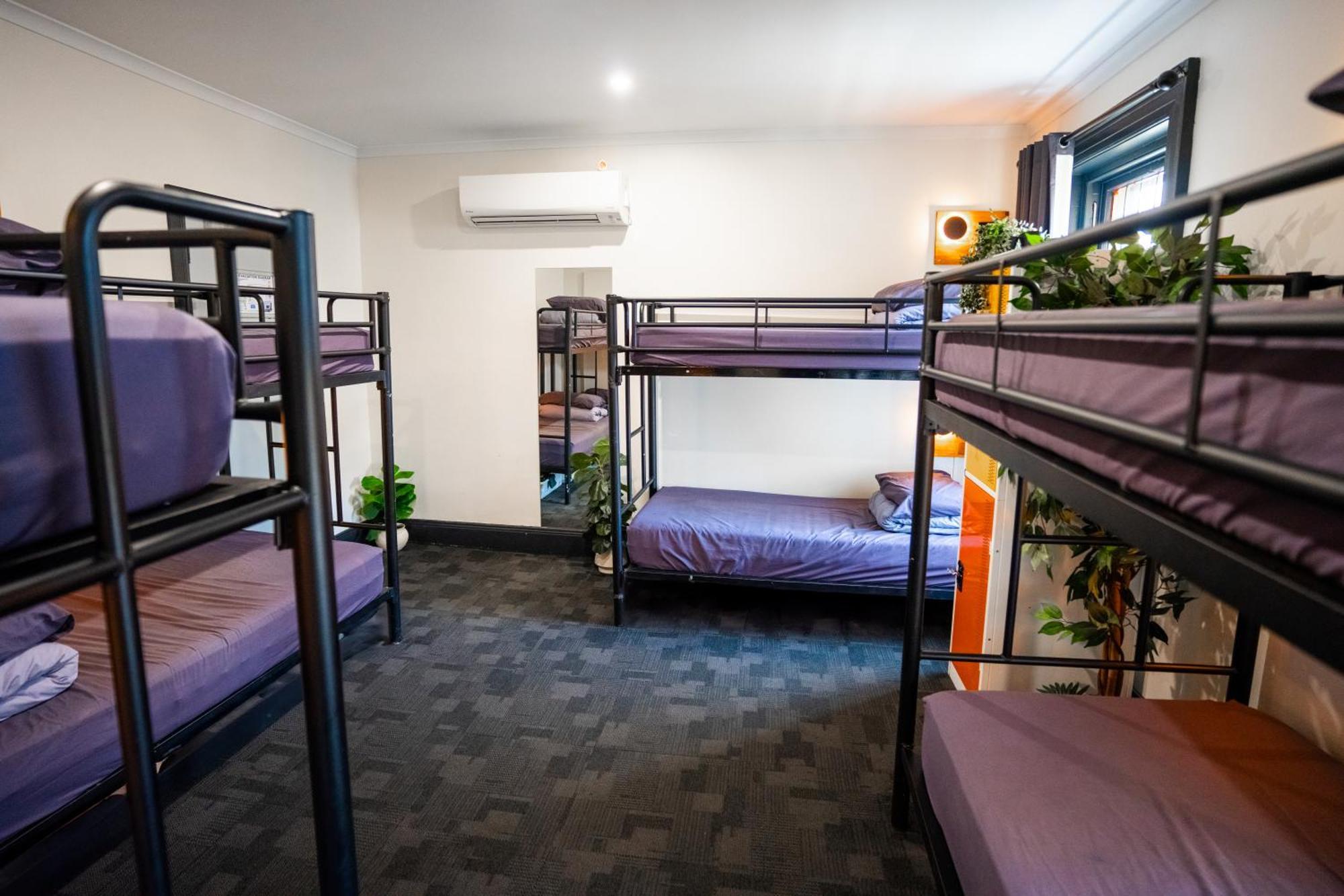 Mad Monkey Backpackers Kings Cross Hostel